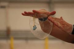 Bolle di Sapone - Gaia Eventi
