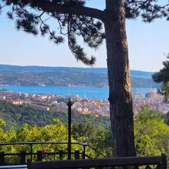BoscoMare-Belvedere