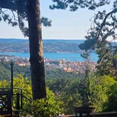 BoscoMare-Belvedere