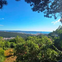 BoscoMare-Belvedere
