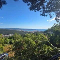 BoscoMare-Belvedere