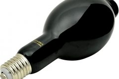 Luce Fluo Wood - Noleggio luci - Service Luci - Gaia Eventi