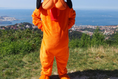 Mascotte Gaia Eventi Pippo Pluto